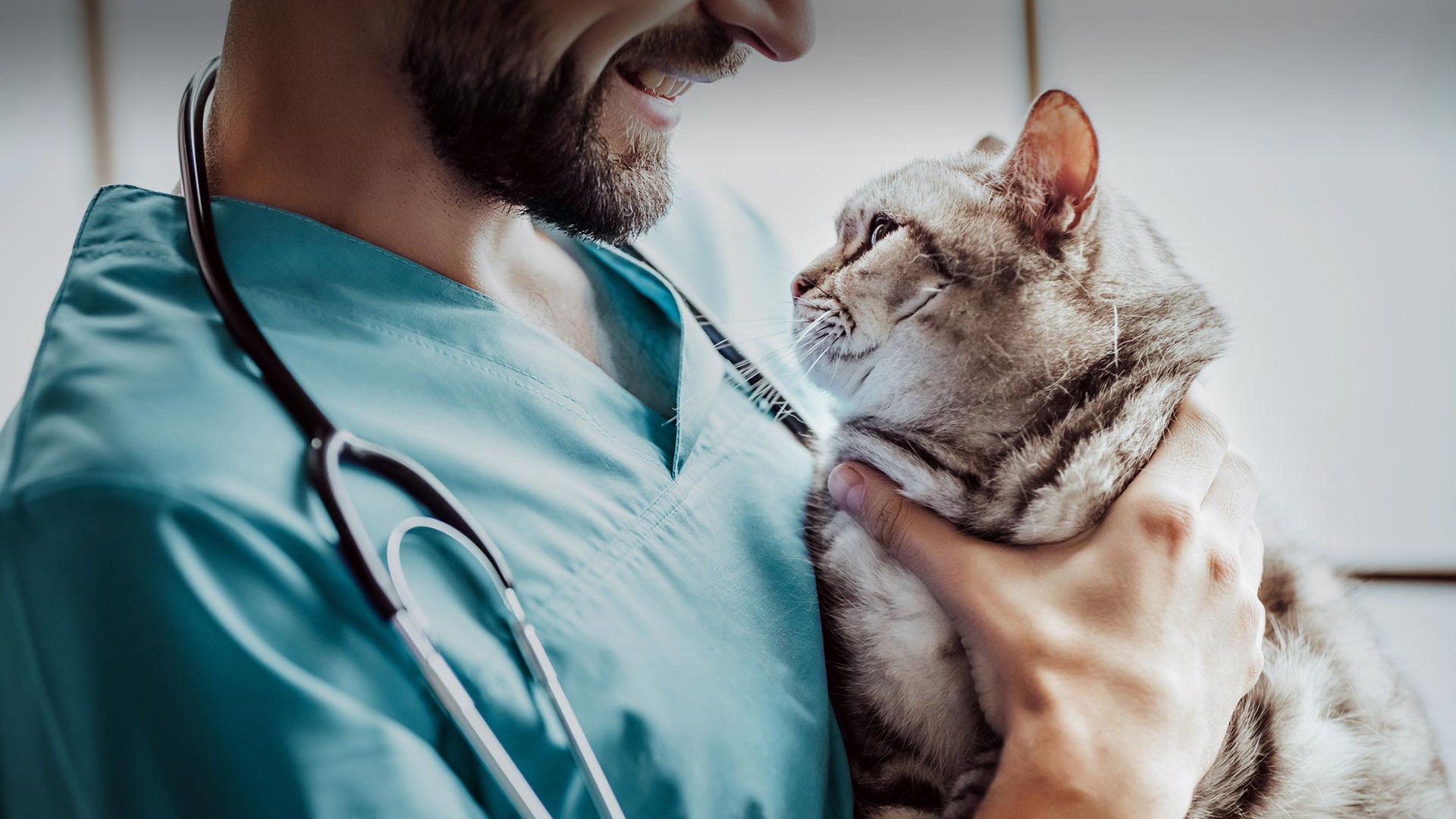 Çamlıyayla Veteriner